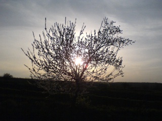 My Photos