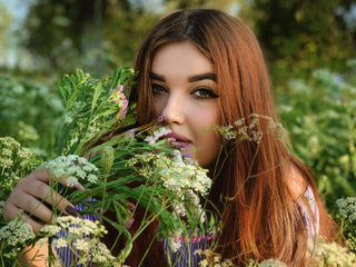 🐱🌿🐱🌿🐱🌿🐱🌿🐱🌿