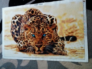 My paintings