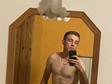 hamster_digger
