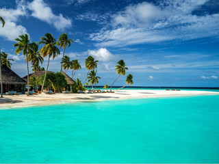 I want to go to the Maldives