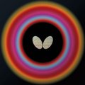 flybutterfly
