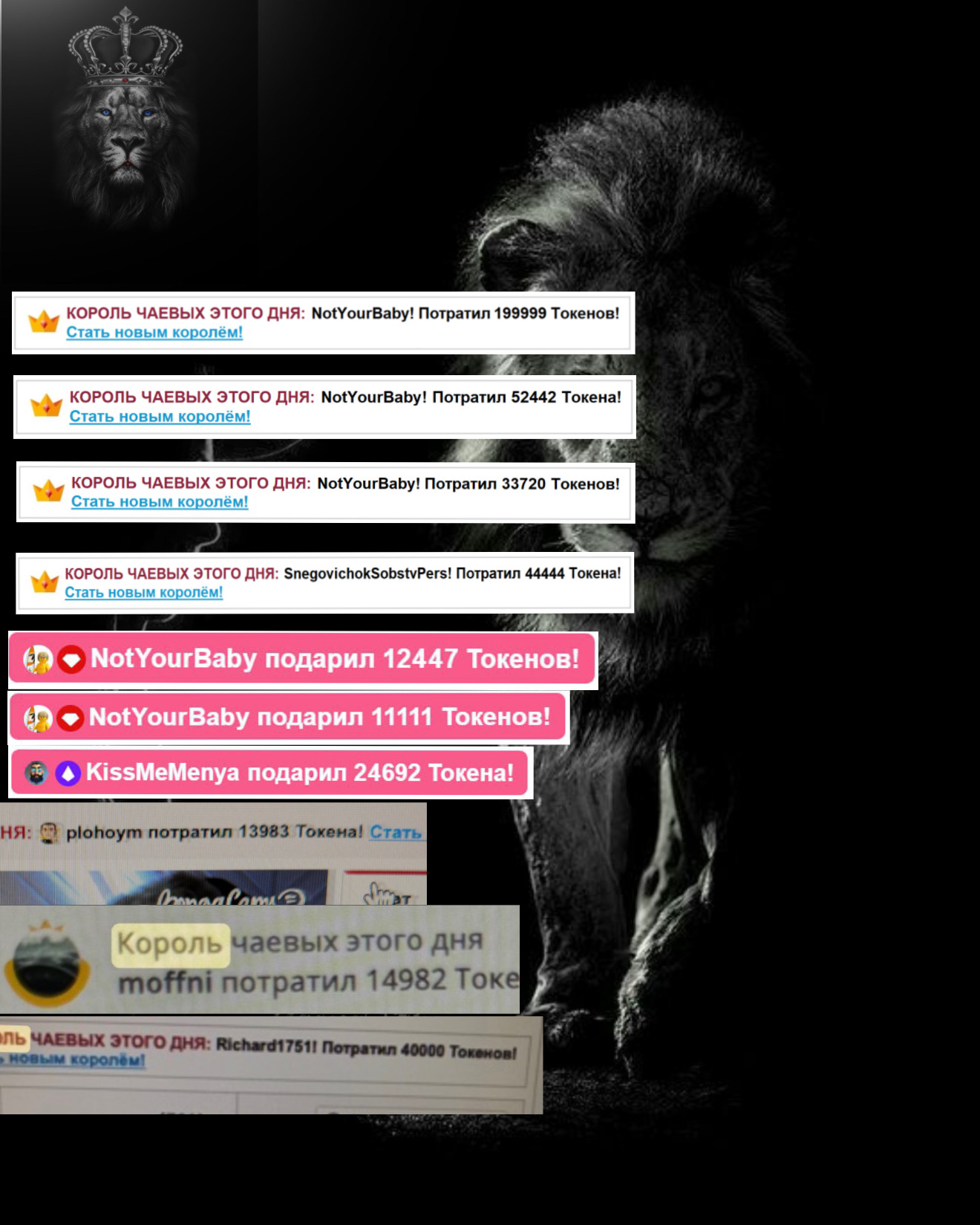 ALVUWKA MY KING! image: 1