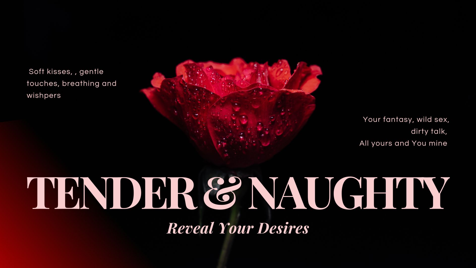 Molyboo YOUR CHOICE image: 1