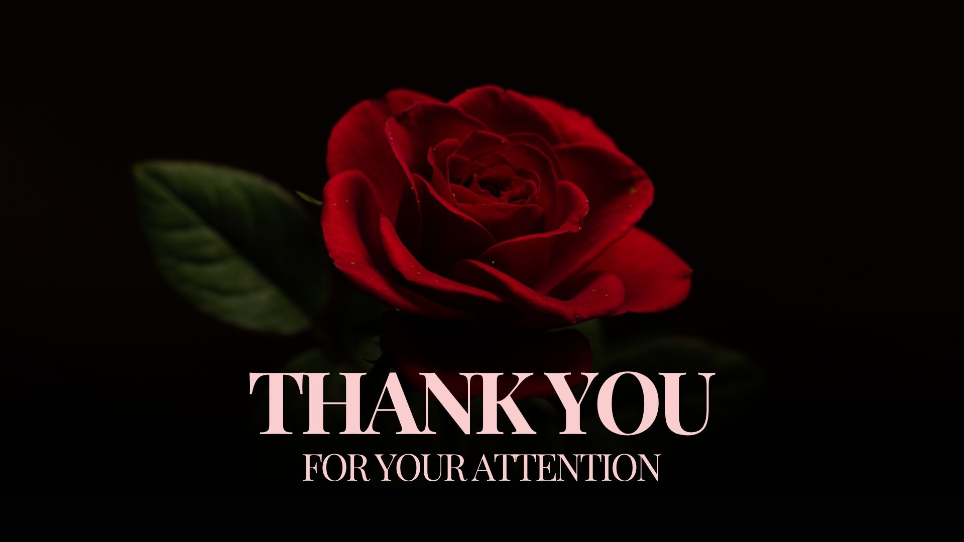 Molyboo PLAY WITH ME - TIP ME NOW image: 1