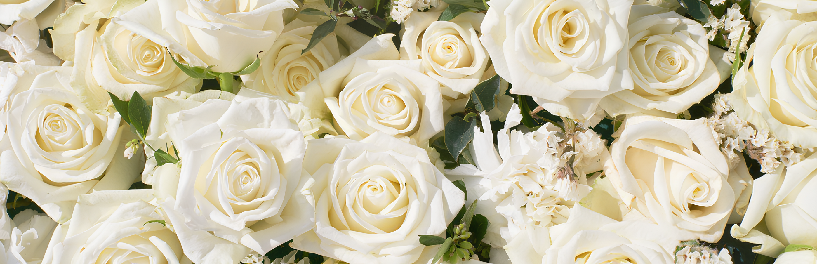 -ALice Thank you very much for your support✨ image: 1