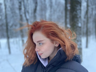 В зимнем лесу
