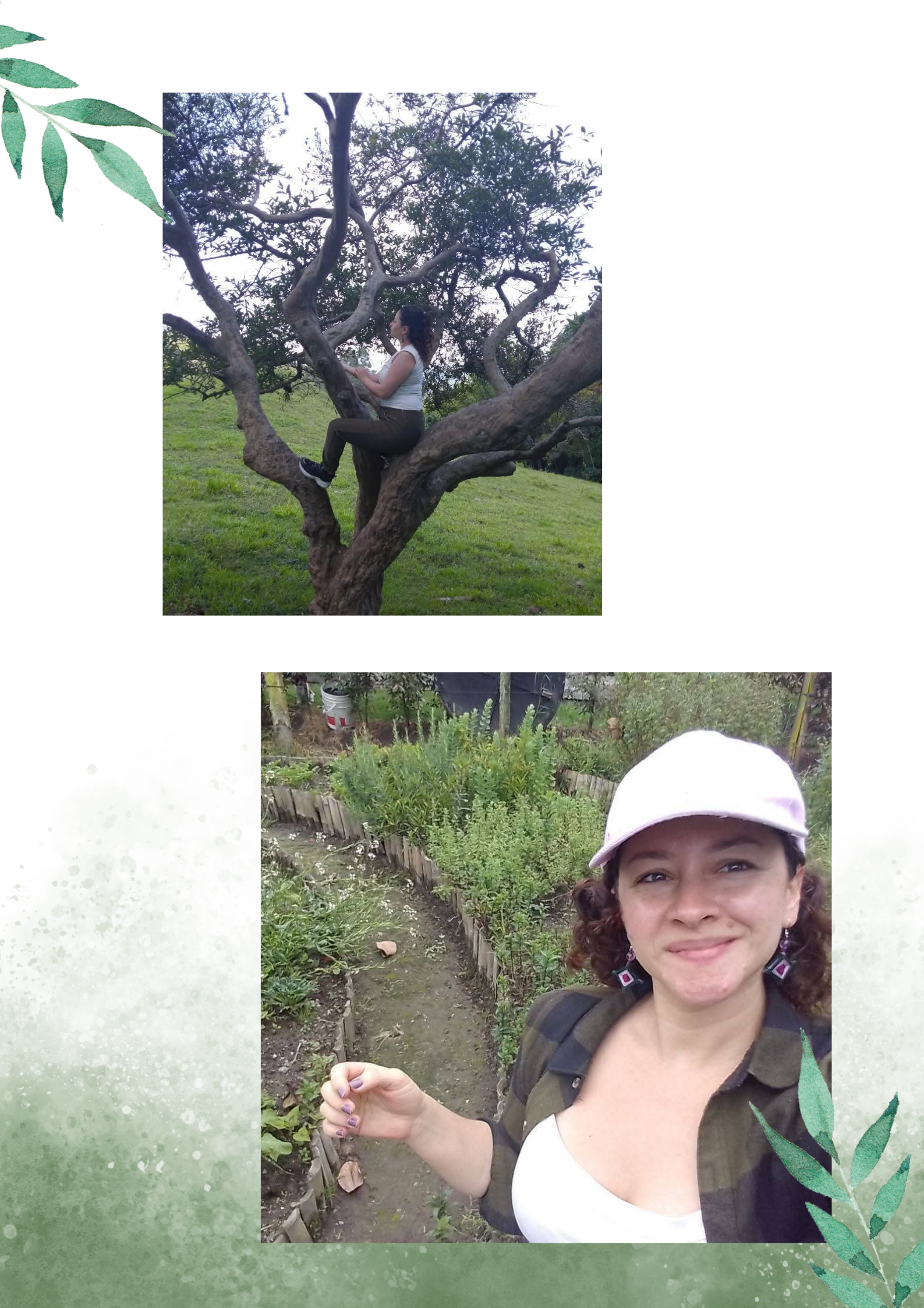 ArtesanaMK My garden image: 1