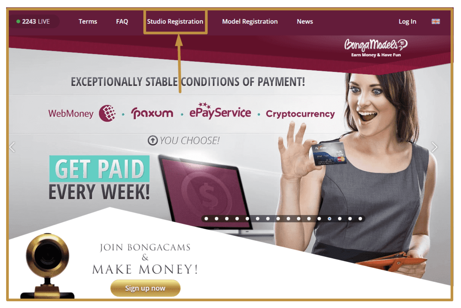 -Sara- Virtual Webcam Studio image: 1