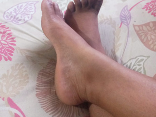 PIES ARI