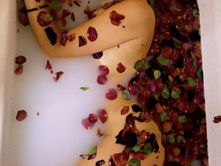 Roses with milk