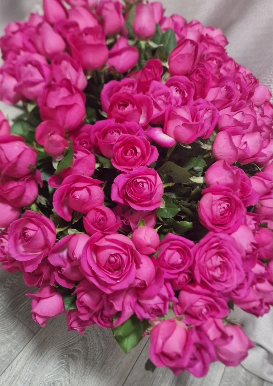 Anutka-chocolatee Pleasantness🥰 image: 11