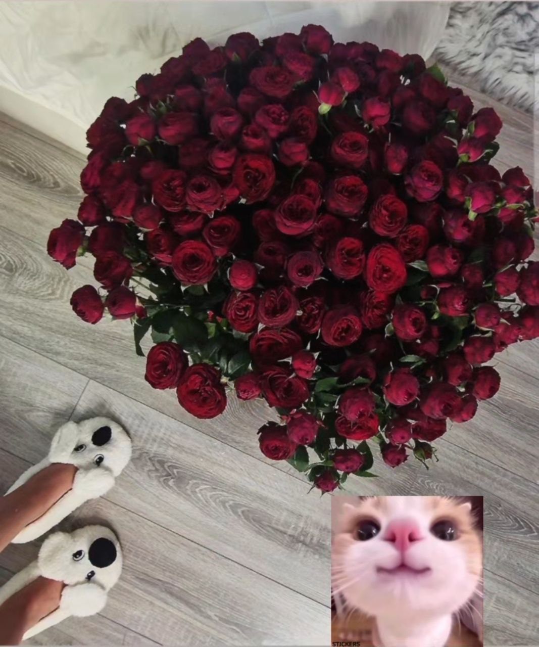 Anutka-chocolatee Pleasantness🥰 image: 7