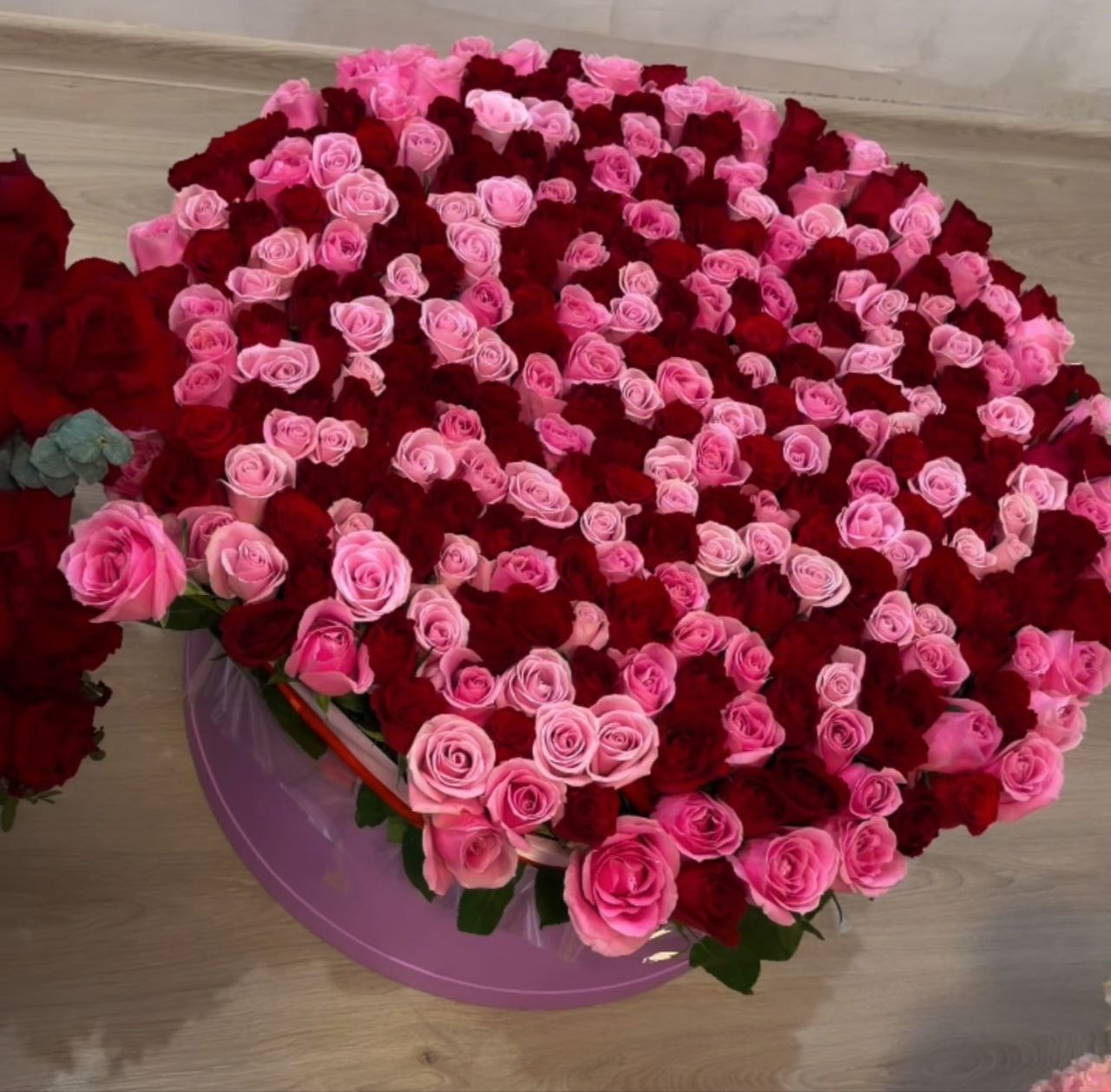 Anutka-chocolatee Pleasantness🥰 image: 15