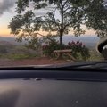 Tico_81