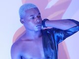 ebony-stallion