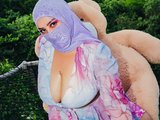 hana-falak