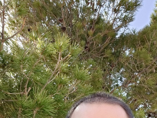 My Photos