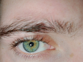 My Photos
