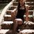 Nicolle-ds