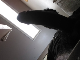 My Photos