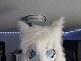 UranusTheFurry