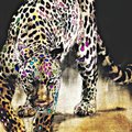 loup21