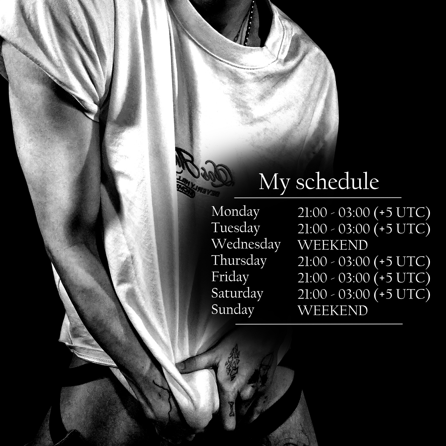 fearlessboy RAPHAEL'S PANNEL image: 1