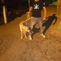 -jjj-j6j-6-jj-6jjj