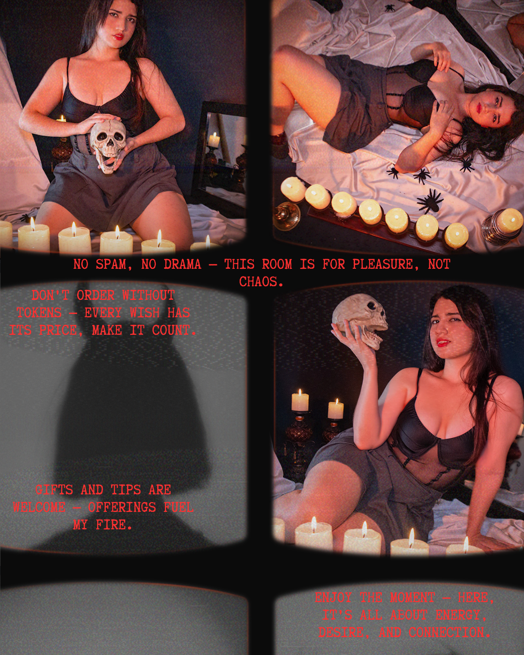 LizRaven Rules image: 1