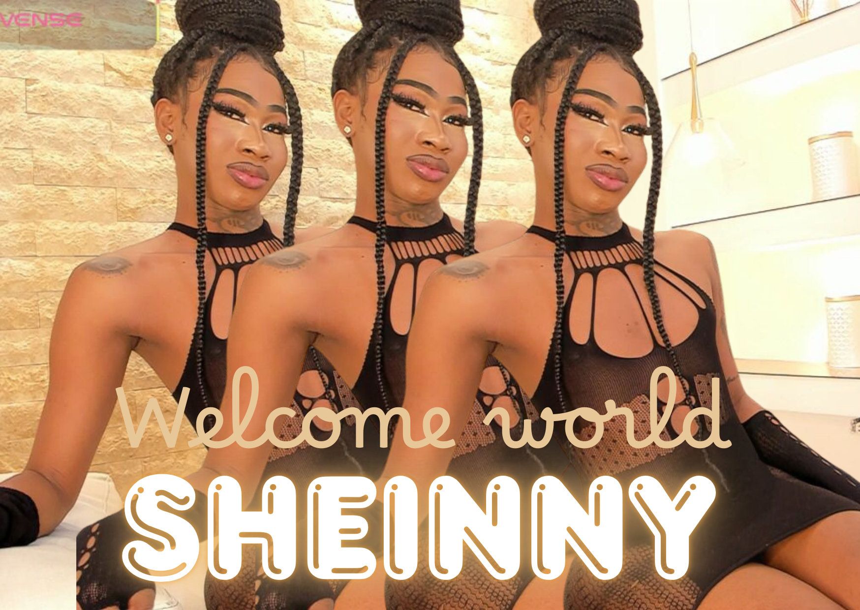 Sheinny-brown1 💋 image: 1