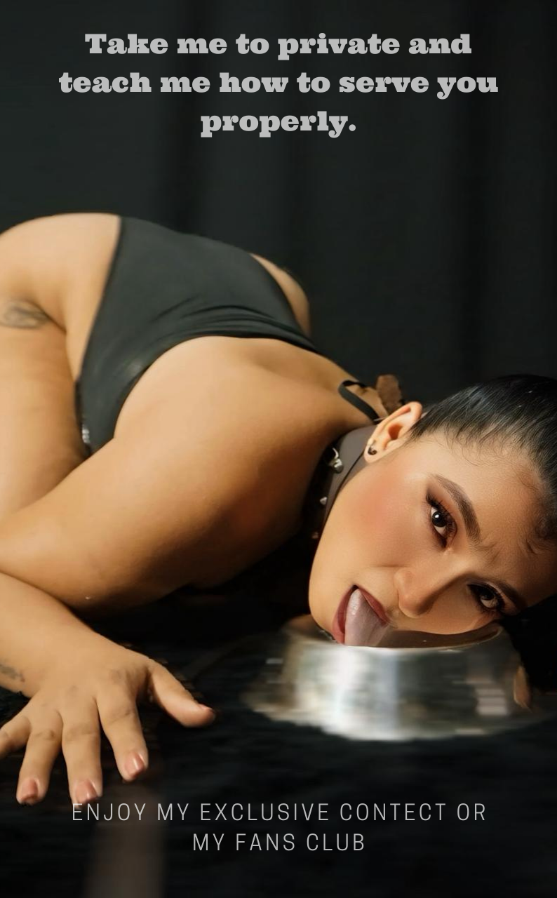 MEDUZA69 SCHEEDULE image: 1