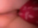 Pussy