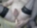 anal