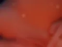 Pussy