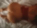 Ass