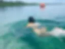 Mar