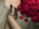stockings
