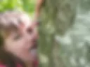 In the forest 1