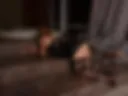 You slut