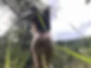 Ku