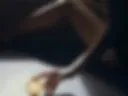 my