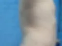 1/Nude poses