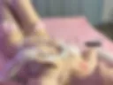 cute bunny