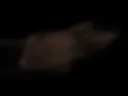 х
