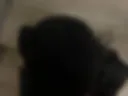 sucking D