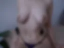 Nipple clamps