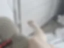 21. legs