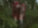 Erotic