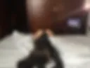 ♥♥♥